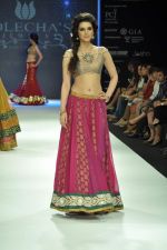 Model walks the ramp for Vijay Golecha Jewels Show at IIJW Day 2 on 20th Aug 2012 (45).JPG